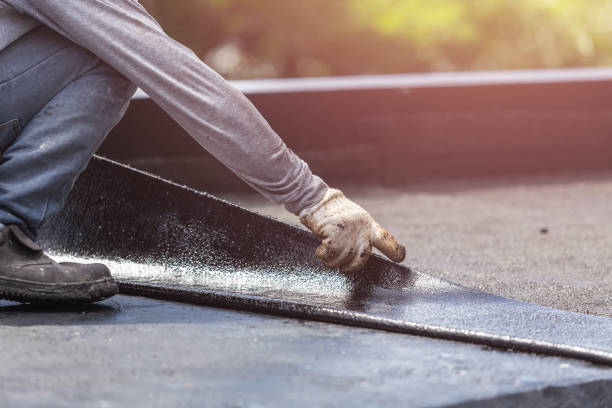 Professional Interior Drainage System technician working in Williston, SC